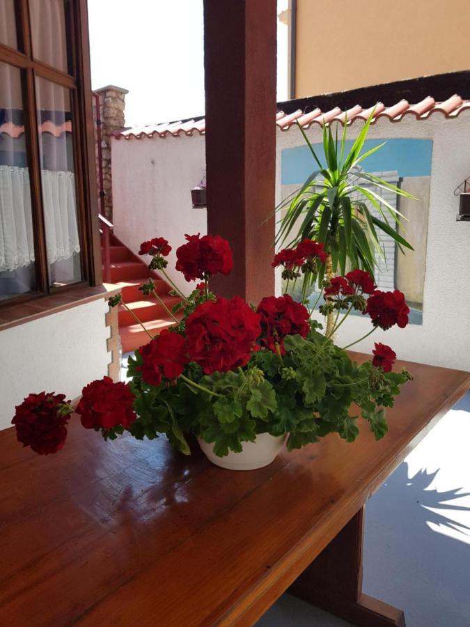 Apartments Varga سينج المظهر الخارجي الصورة